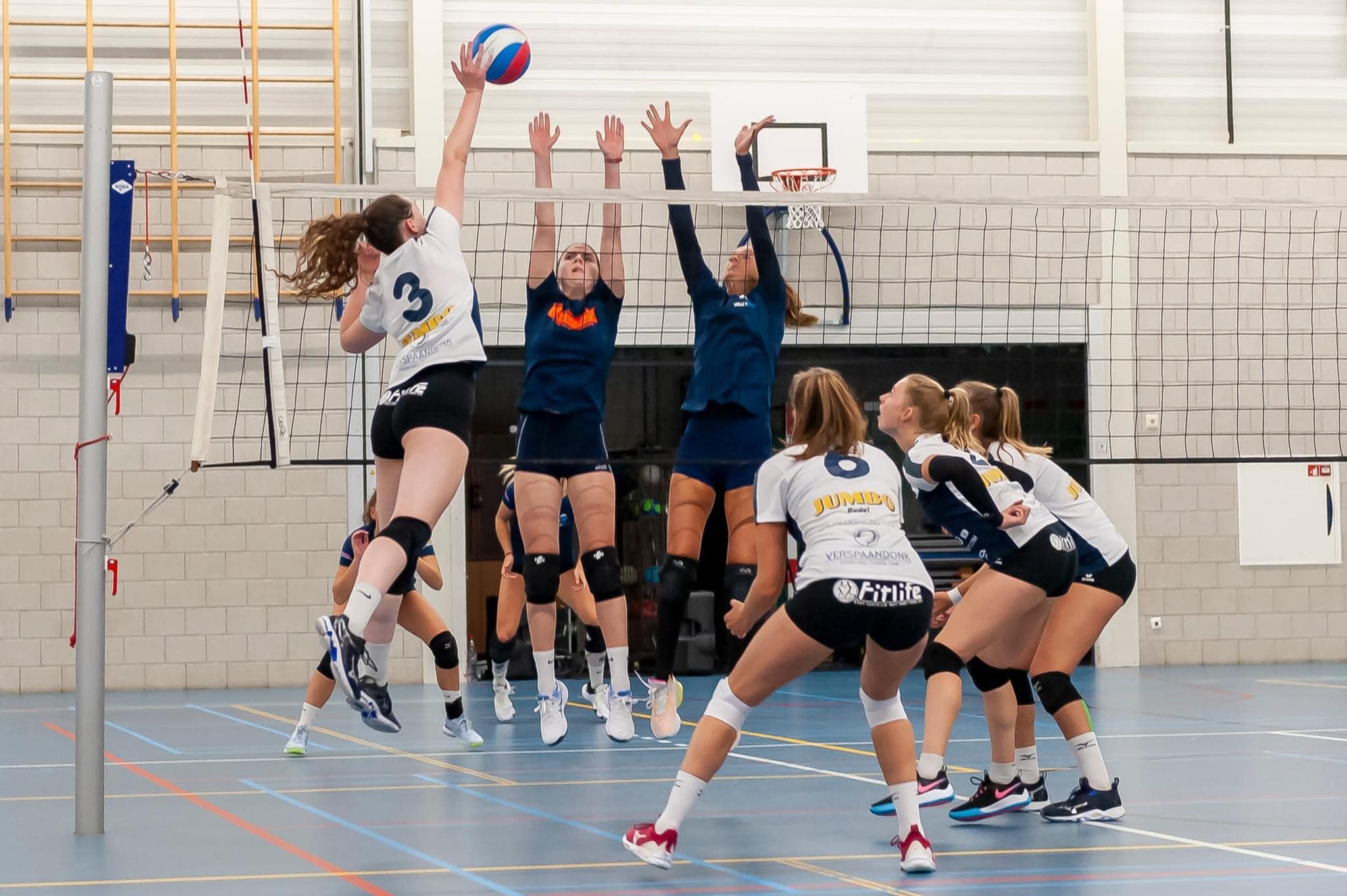 Nog Even Nagelbijten Voor Volley Tilburg D1 Vizier Op Volleybal Nog Even Nagelbijten Voor Volley Tilburg D1 Vizier Op Volleybal